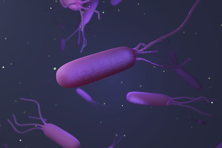ピロリ菌除菌画像